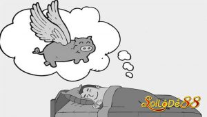 Nằm mơ ngủ thấy heo