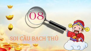 Dự đoán cầu lô bạch thủ Miền Bắc hôm nay