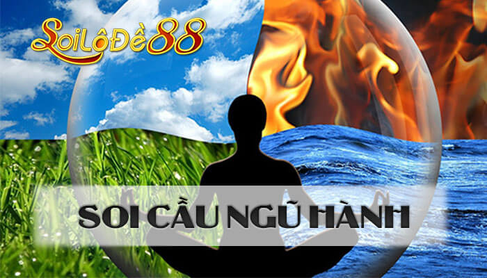 soi cau ngu hanh am duong