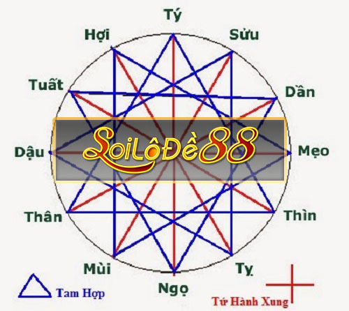 soi cau lo theo am duong ngu hanh