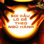 soi cau lo theo am duong ngu hanh