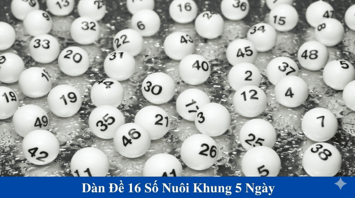 Cách Phân Bổ Vốn Khi Nuôi Dàn 16 Số Khung 5 Ngày