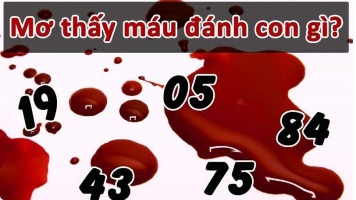 Mơ Thấy Máu Có Ý Nghĩa Gì?
